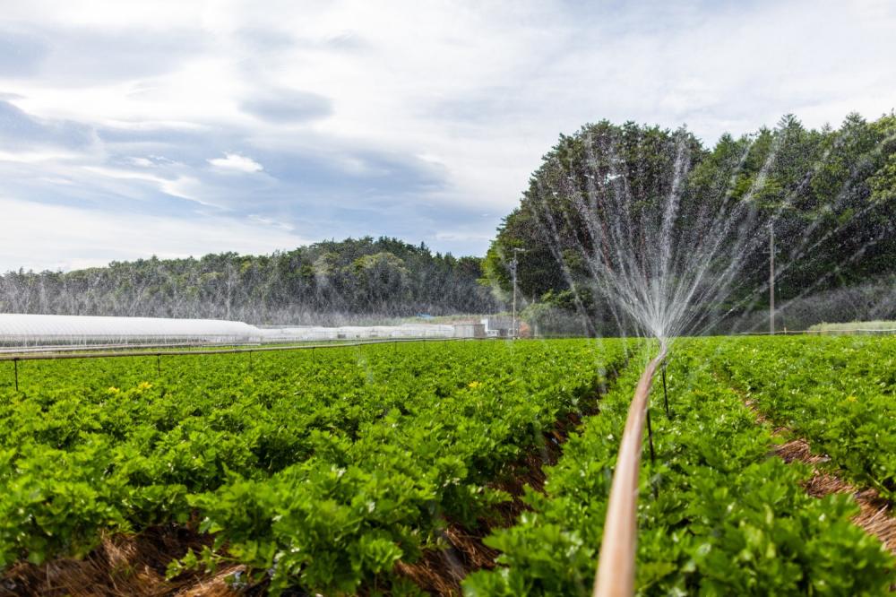 PRODUTORES RURAIS DE RIBEIRÃO PRETO TERÃO CAPACITAÇÃO GRATUITA PARA ECONOMIZAR ÁGUA E PRESERVAR O MEIO AMBIENTE