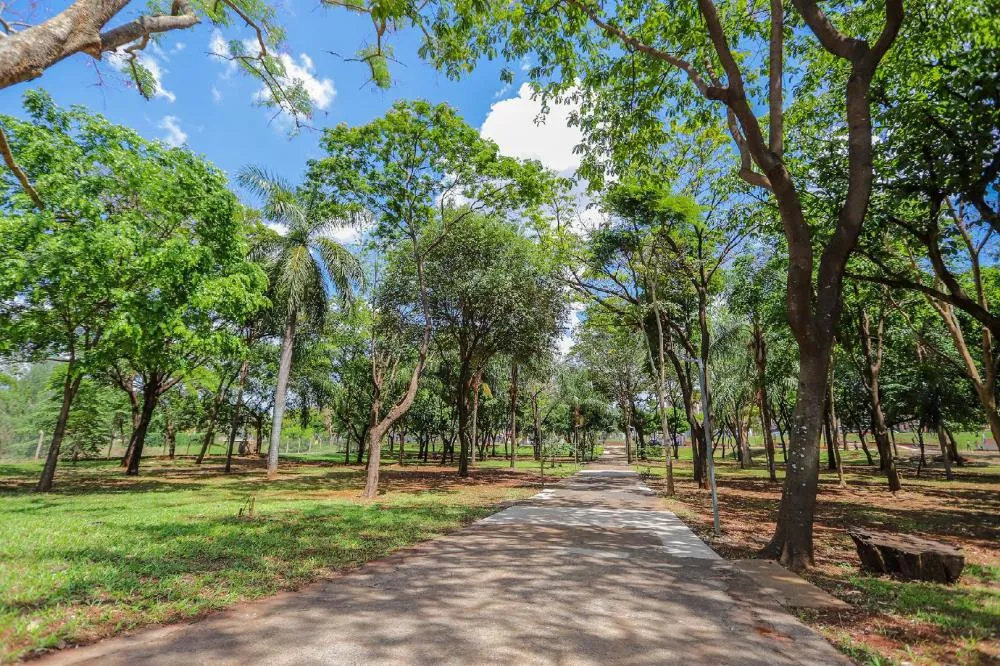 Ribeirão Preto lança programa RP + Verde para ampliar conservação de áreas públicas