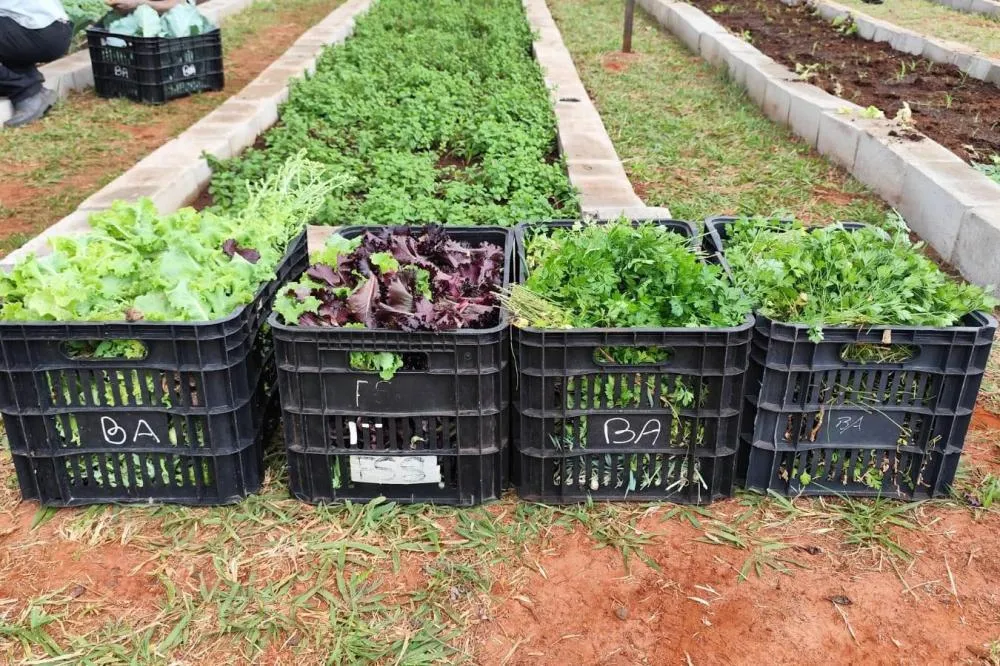 PARCERIA ENTRE PREFEITURA E SHOPPING ACENDE ALERTA SOBRE DEMANDA POR ALIMENTOS E AMPLIA DOAÇÕES SOCIAIS