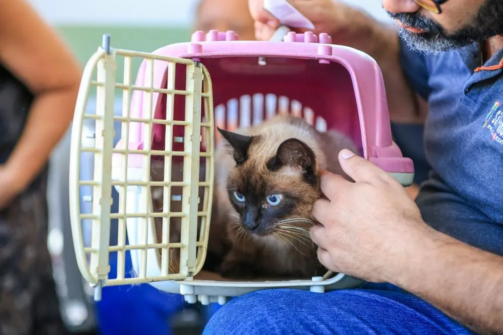 CLÍNICA VETERINÁRIA GRATUITA BATE RECORDE E ULTRAPASSA 5,5 MIL ATENDIMENTOS EM APENAS UM MÊS EM RIBEIRÃO PRETO