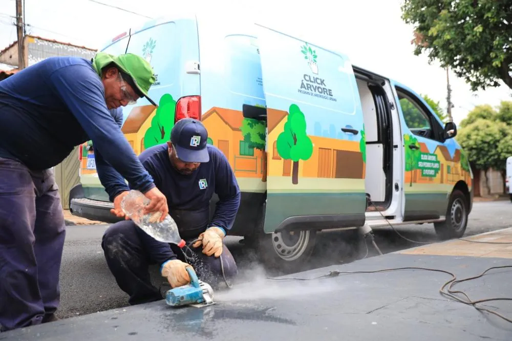 RIBEIRÃO PRETO AVANÇA NA ARBORIZAÇÃO E JÁ PLANTOU CERCA DE 1.500 ÁRVORES EM 2026