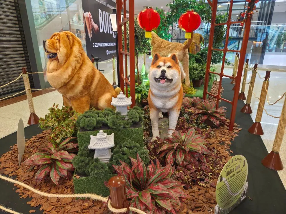 SHOPPINGSANTAÚRSULA RECEBE EXPOSIÇÃO GRATUITA COM CÃES E GATOS GIGANTES EM RIBEIRÃO PRETO
