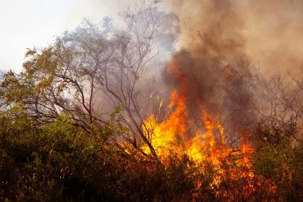 RIBEIRÃO PRETO ENTRA EM ALERTA PARA IMPACTOS DO EL NIÑO E RISCO DE QUEIMADAS