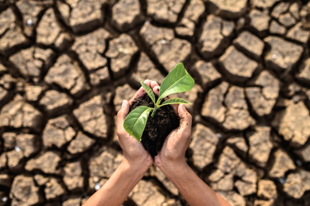 EL NIÑO ACENDE ALERTA PARA SECAS E INCÊNDIOS NAS CIDADES