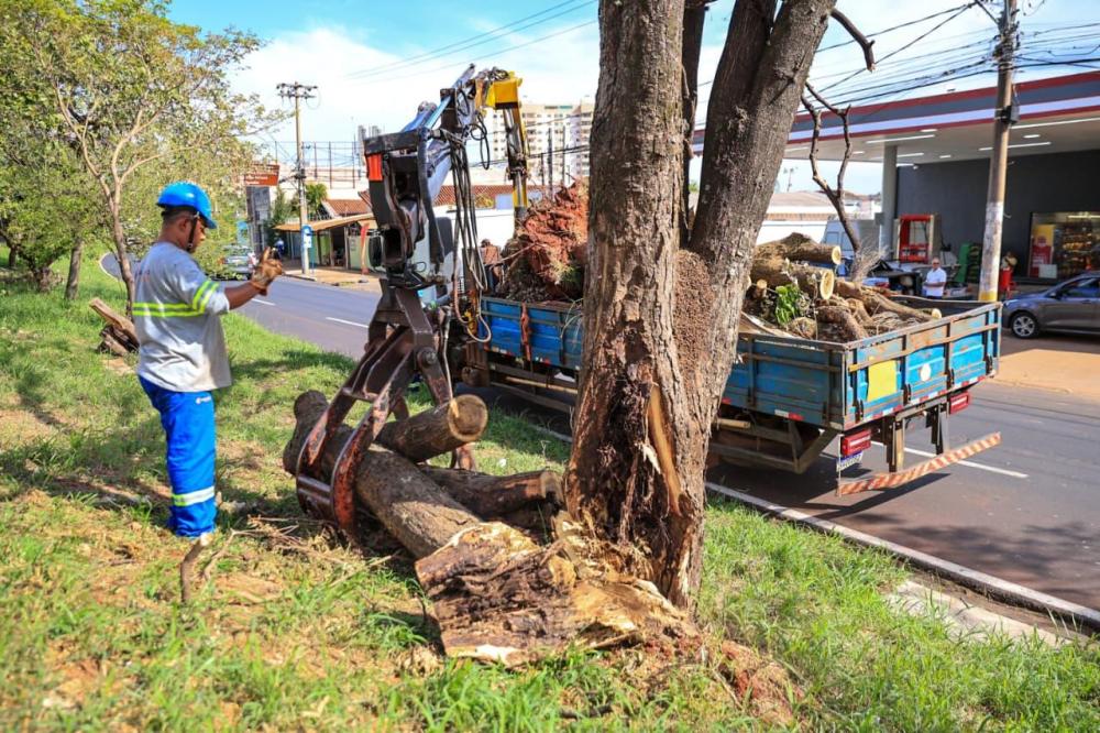 RIBEIRÃO RETIRA 1.209 CAMINHÕES DE RESÍDUOS