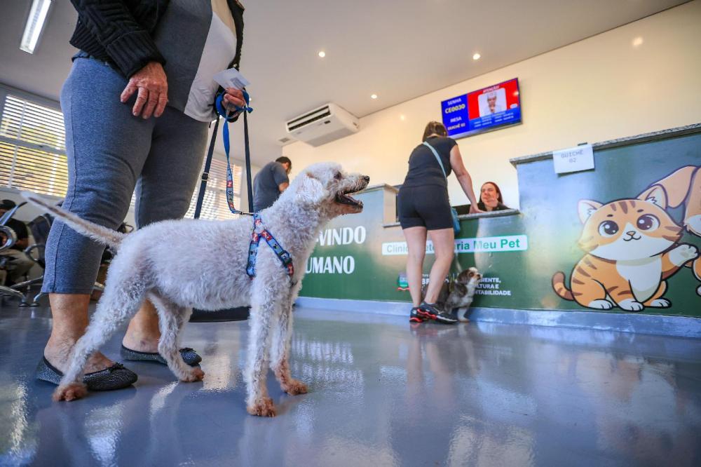 CLÍNICA MEU PET SUPERA 3 MIL ATENDIMENTOS