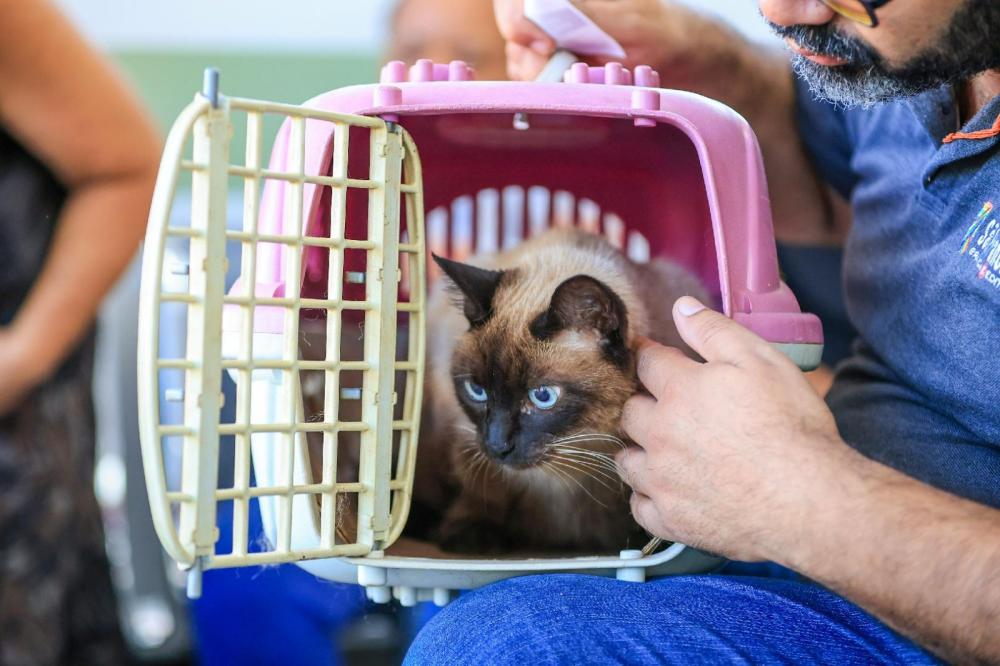 QUASE 10 MIL PROCEDIMENTOS EM 3 MESES EXPÕEM DEMANDA POR VETERINÁRIO GRATUITO EM RIBEIRÃO