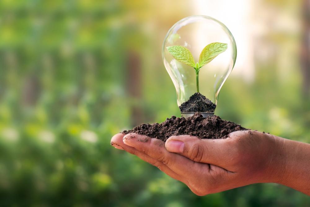 RIBEIRÃO PRETO TERÁ TRÊS DIAS DE DEBATES SOBRE EDUCAÇÃO AMBIENTAL