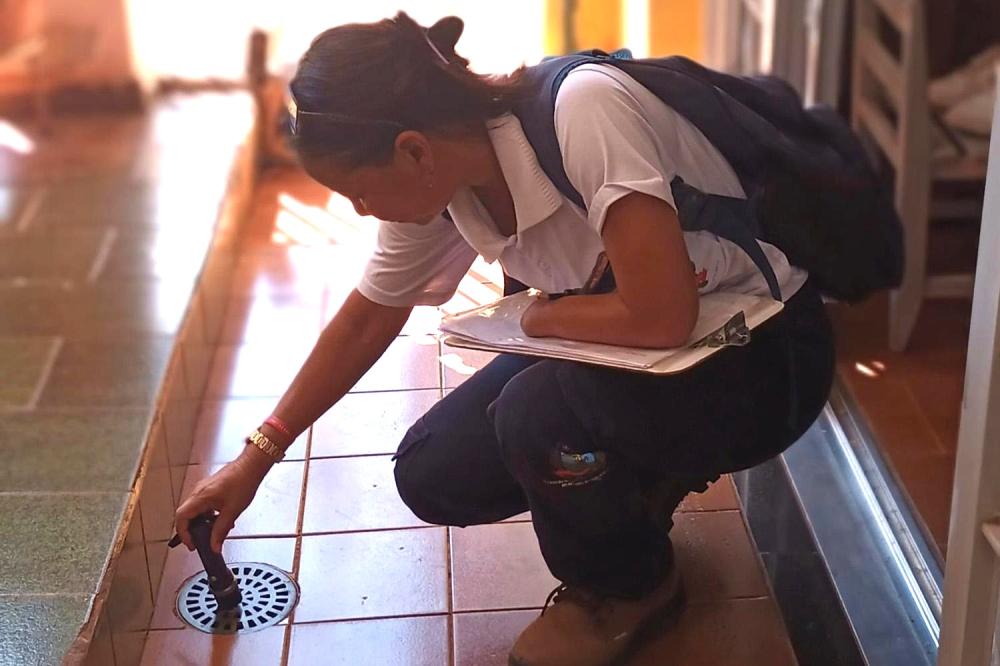 CHUVAS ACENDEM ALERTA PARA COMBATE À DENGUE EM RIBEIRÃO PRETO