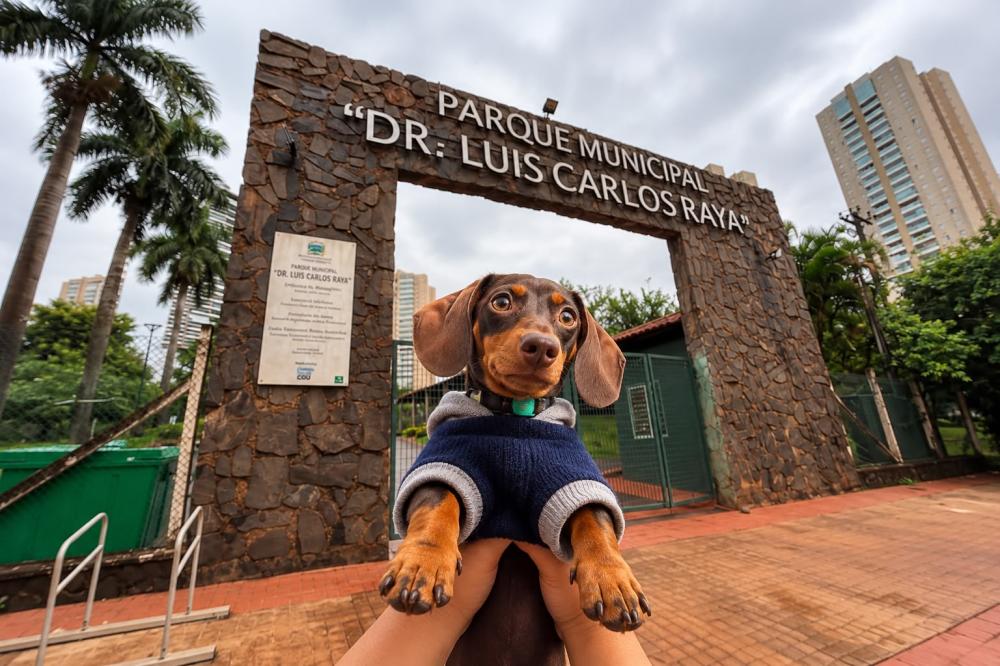 “INVASÃO” DE SALSICHAS VAI TOMAR CONTA DO PARQUE RAYA NESTE DOMINGO